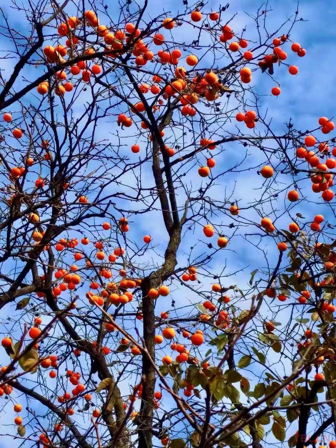 道者涵乾括坤，其本無名