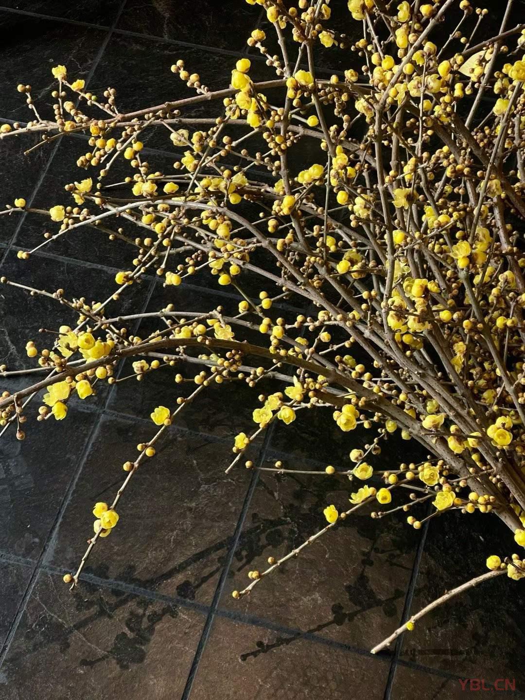 傷人的，負面的，頹廢不積極的話，我從來是不舍得多說的